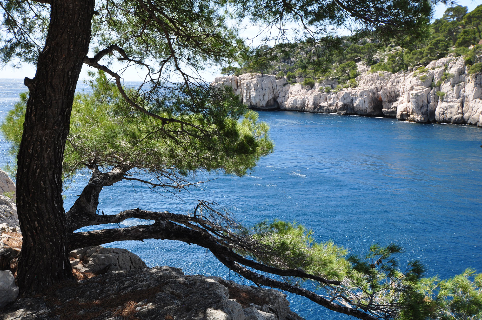 Calanques de Cassis